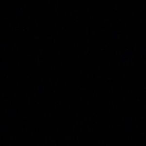 Meet your Posher, Ernest